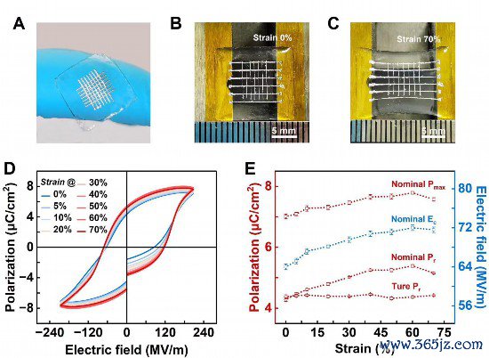 可穿着！我国科学家最初打造出有弹性的铁电材料
